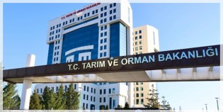 Tarım ve Orman Bakanlığı 1.874 Sözleşmeli Personel Alacak